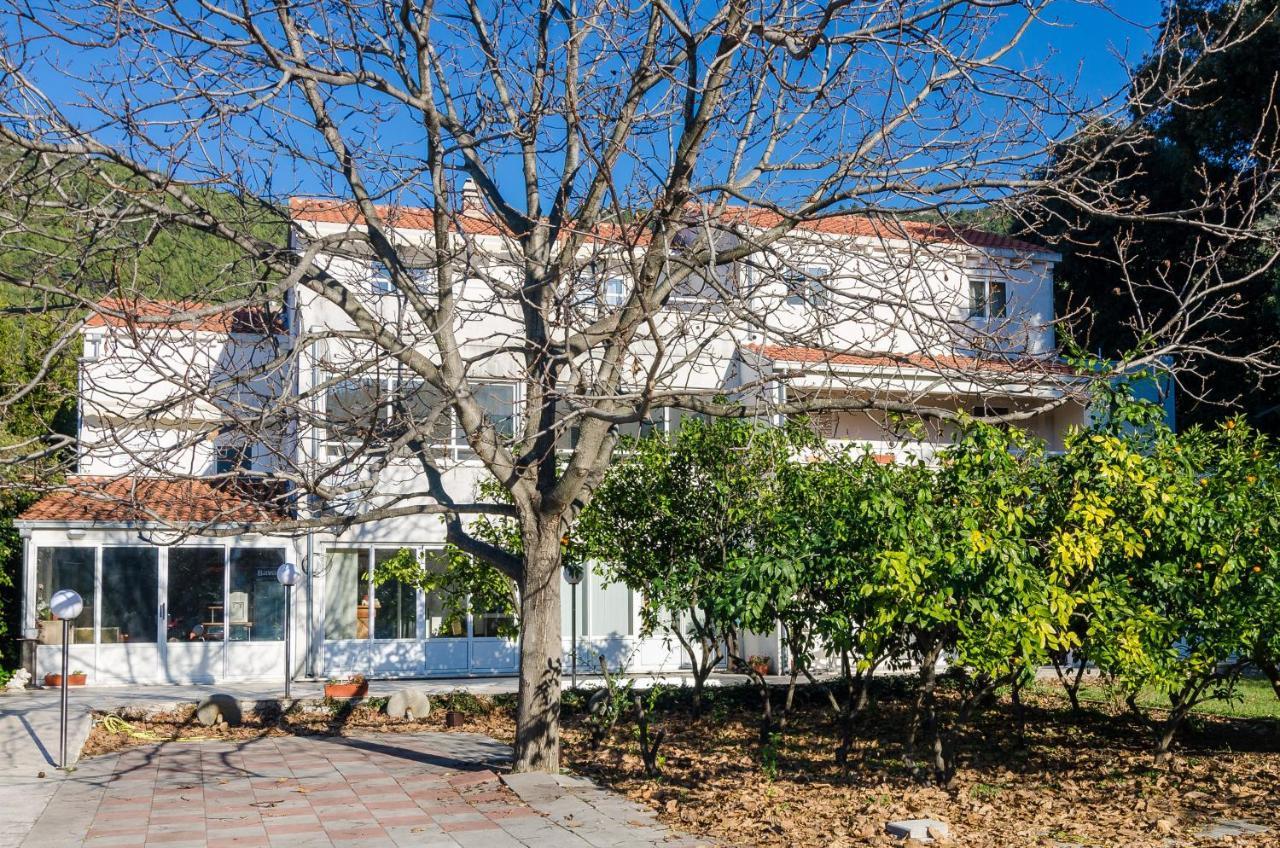 Apartments With A Parking Space Zuljana, Peljesac - 4574 Екстер'єр фото