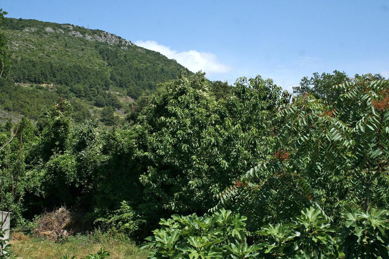 Apartments With A Parking Space Zuljana, Peljesac - 4574 Екстер'єр фото